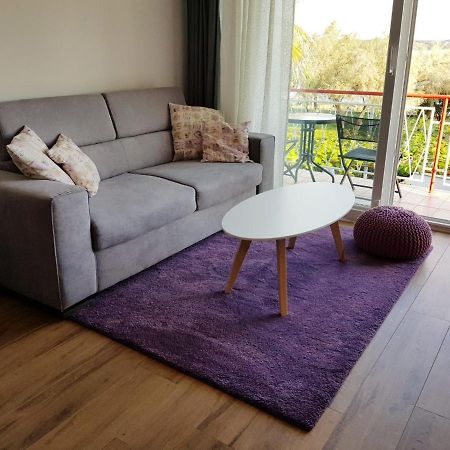 Apartman Luka Novigrad  Zewnętrze zdjęcie
