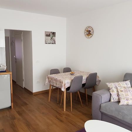 Apartman Luka Novigrad  Zewnętrze zdjęcie