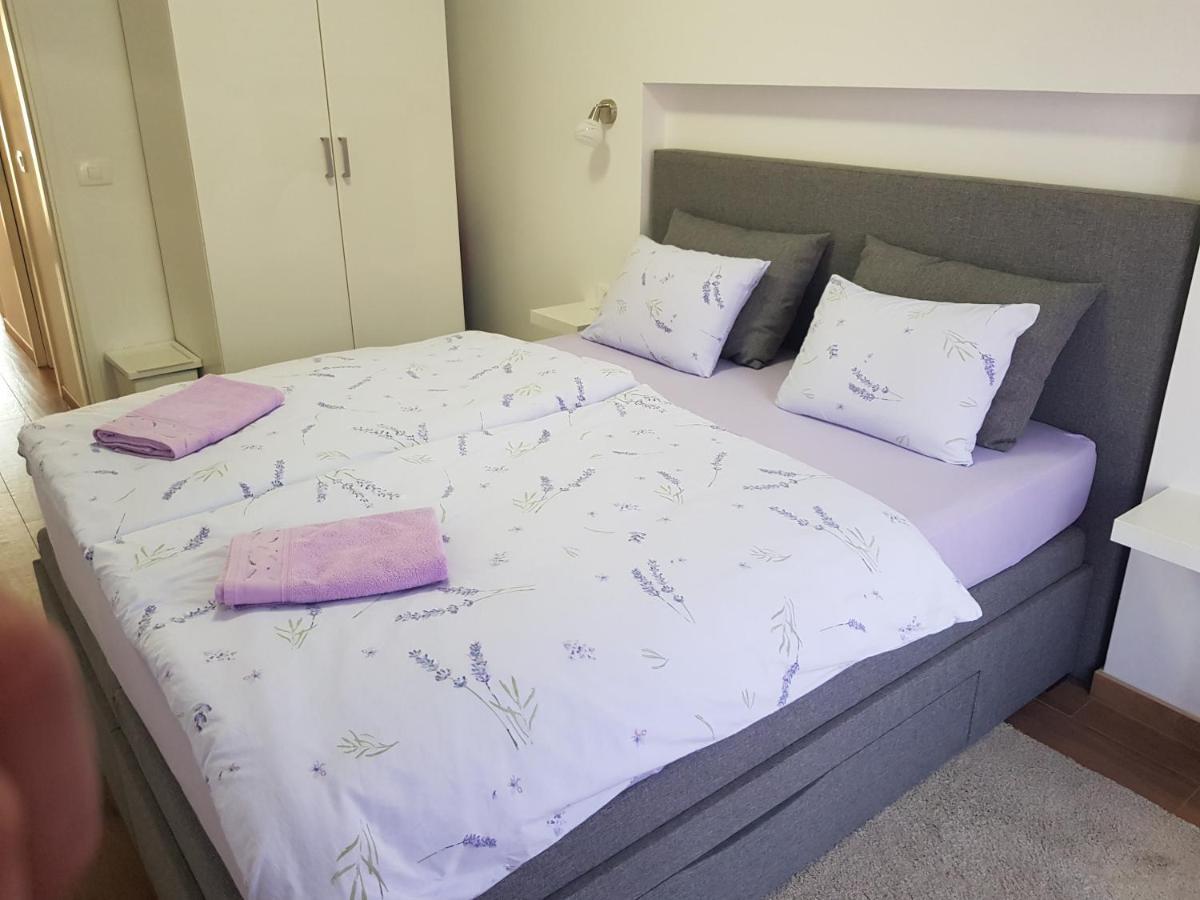 Apartman Luka Novigrad  Zewnętrze zdjęcie