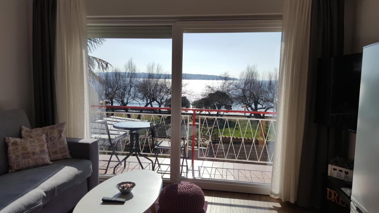Apartman Luka Novigrad  Zewnętrze zdjęcie