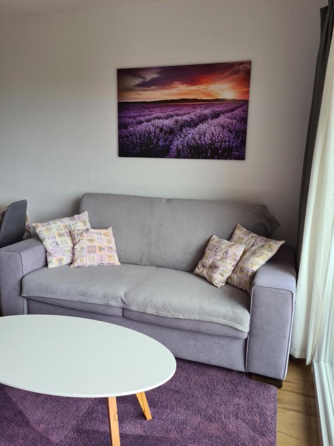 Apartman Luka Novigrad  Zewnętrze zdjęcie