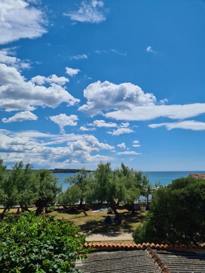 Apartman Luka Novigrad  Zewnętrze zdjęcie