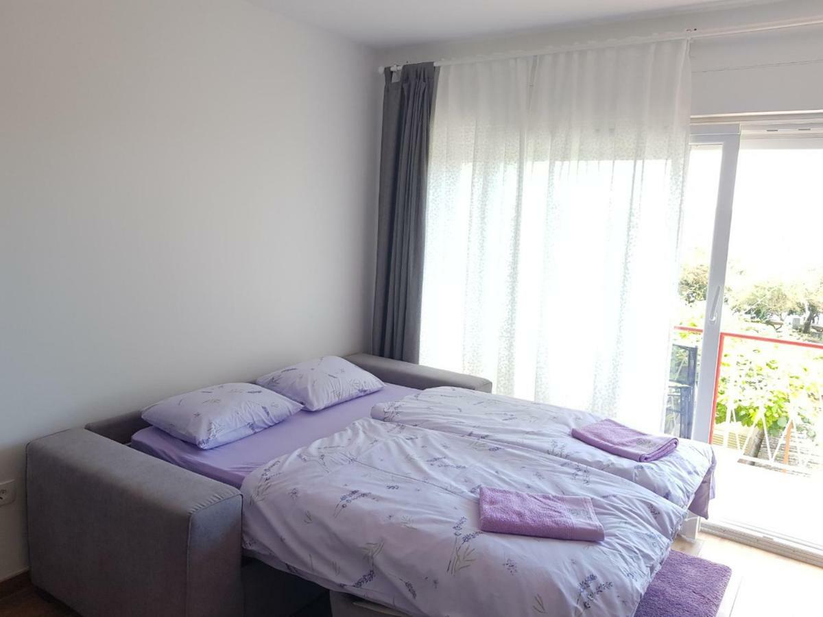 Apartman Luka Novigrad  Zewnętrze zdjęcie